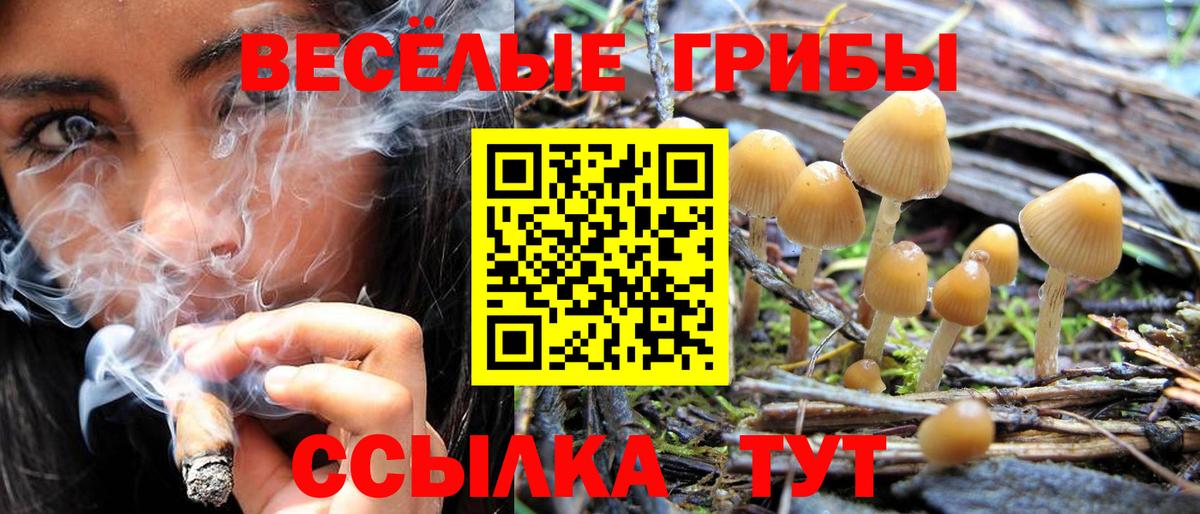 Галлюциногенные грибы прущие грибы Вязники